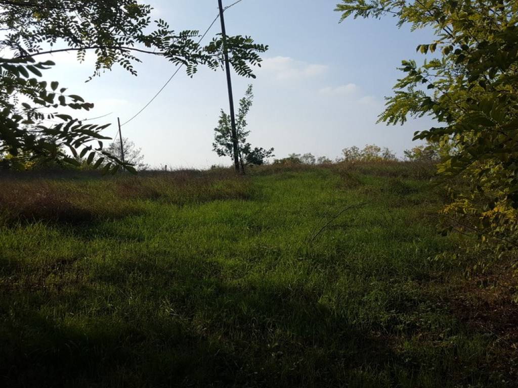 Terreno a Alessandria - Foto 4