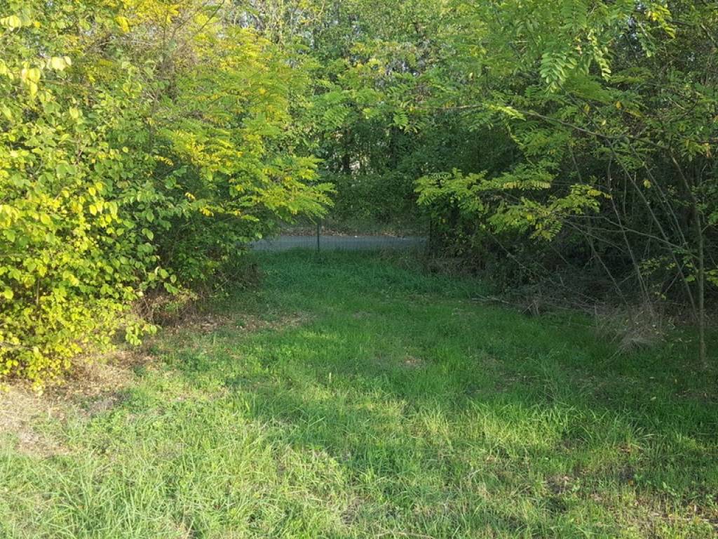 Terreno a Alessandria - Foto 5