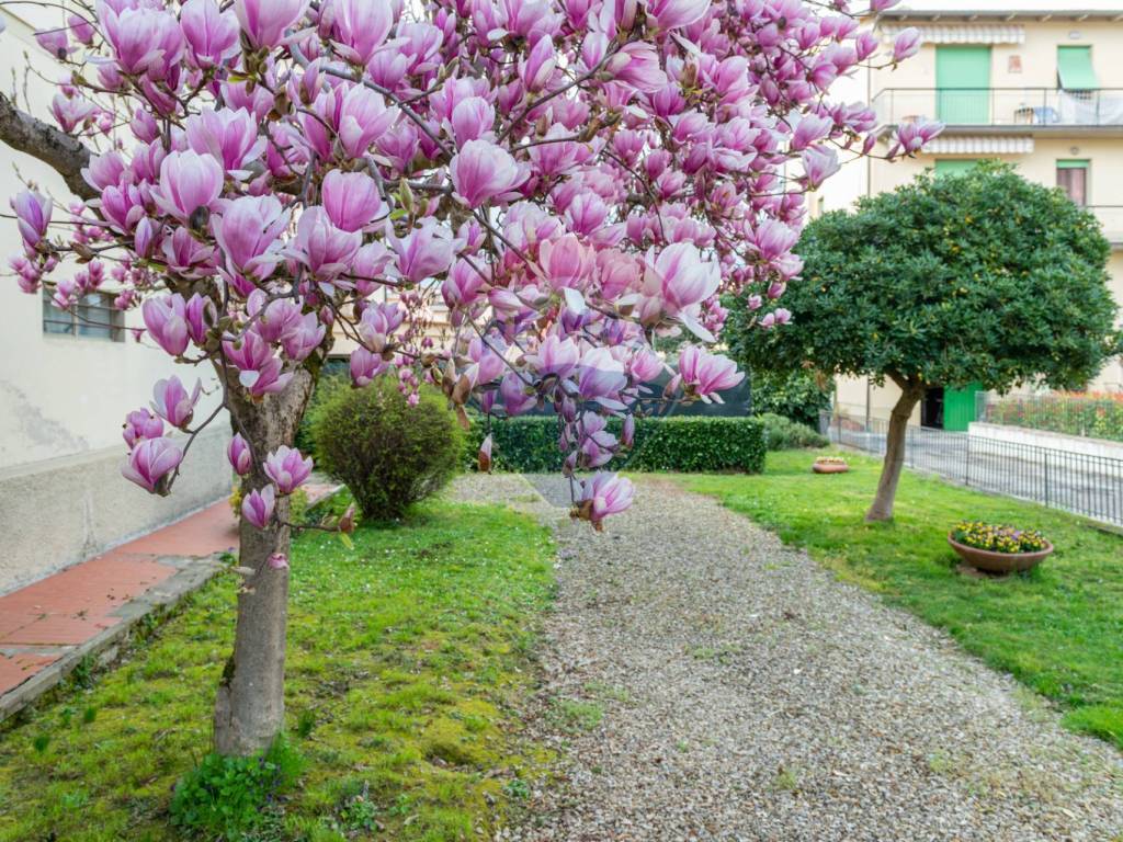 Casa indipendente a San giovanni valdarno in Via Gruccia, 164 - Foto 5