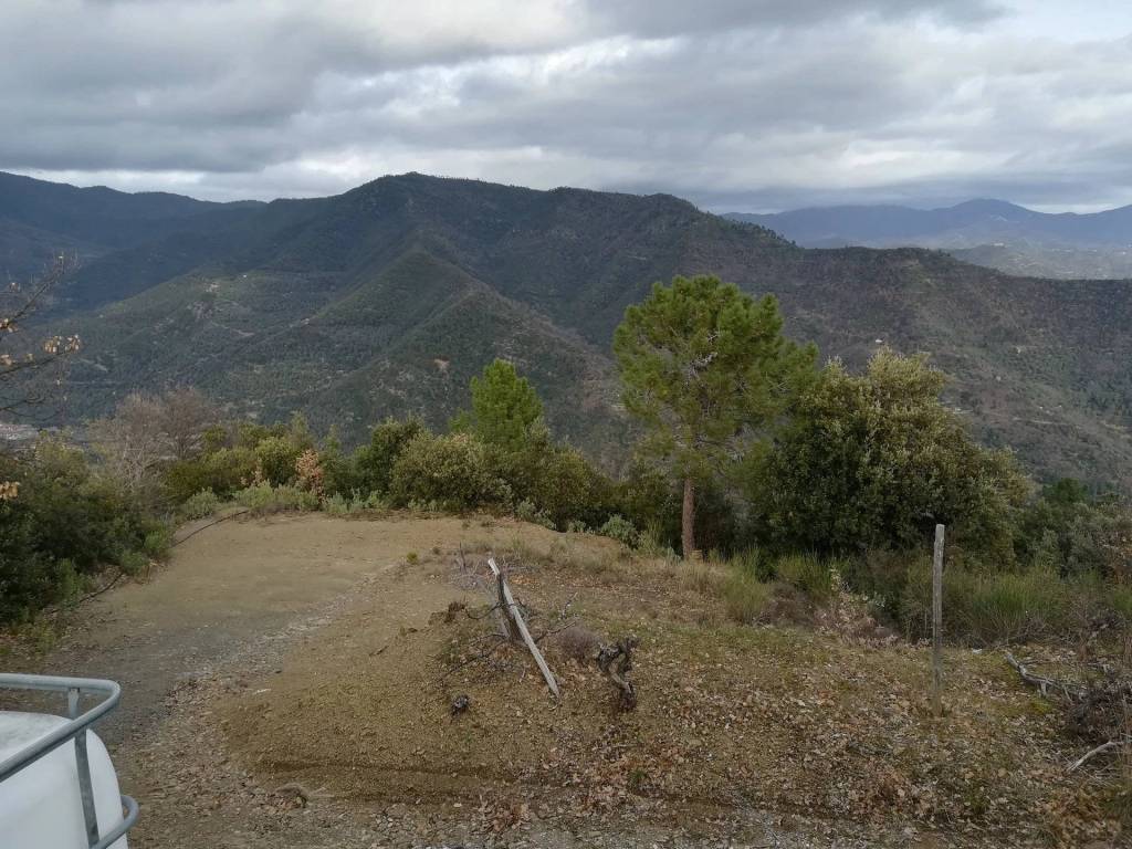 Villa a Dolceacqua - Foto 3