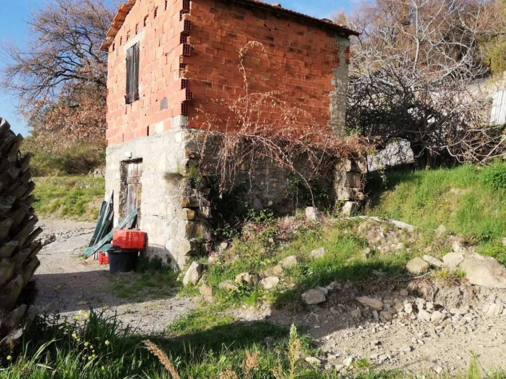 Terreno a Vallebona - Foto 2