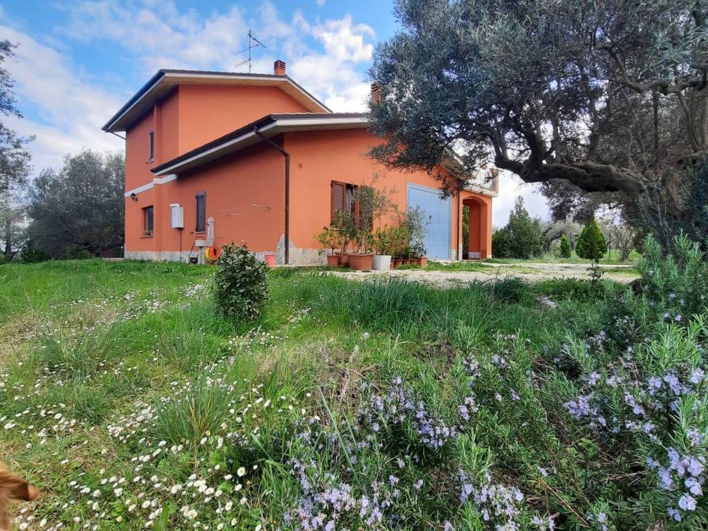 Casa indipendente a Catignano in Contrada Grotte - Foto 3