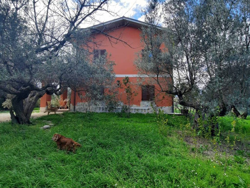 Casa indipendente a Catignano in Contrada Grotte - Foto 5