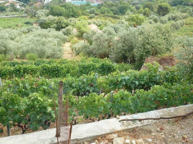 Villa a Vallecrosia - Foto 5