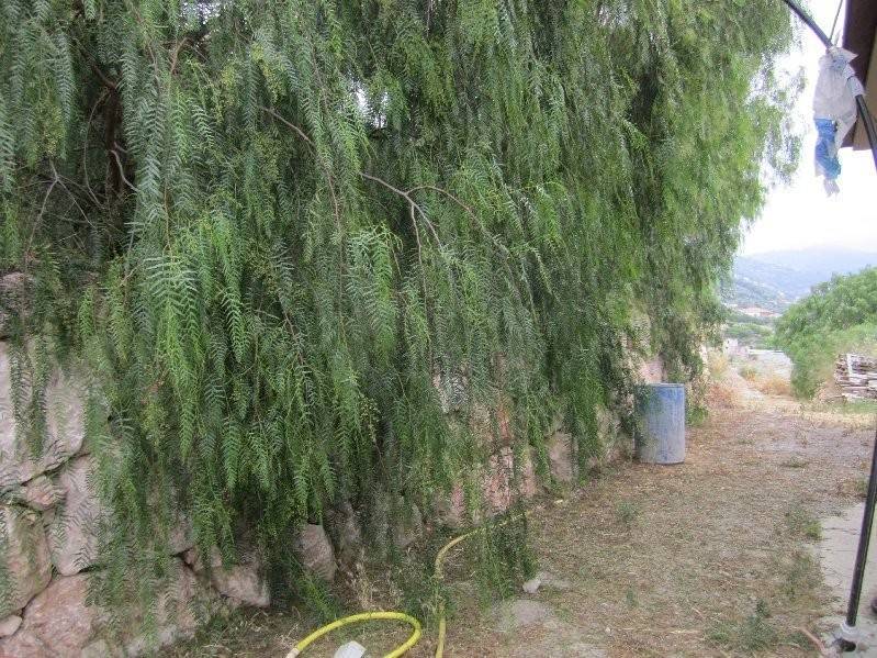 Villa a Bordighera - Foto 3