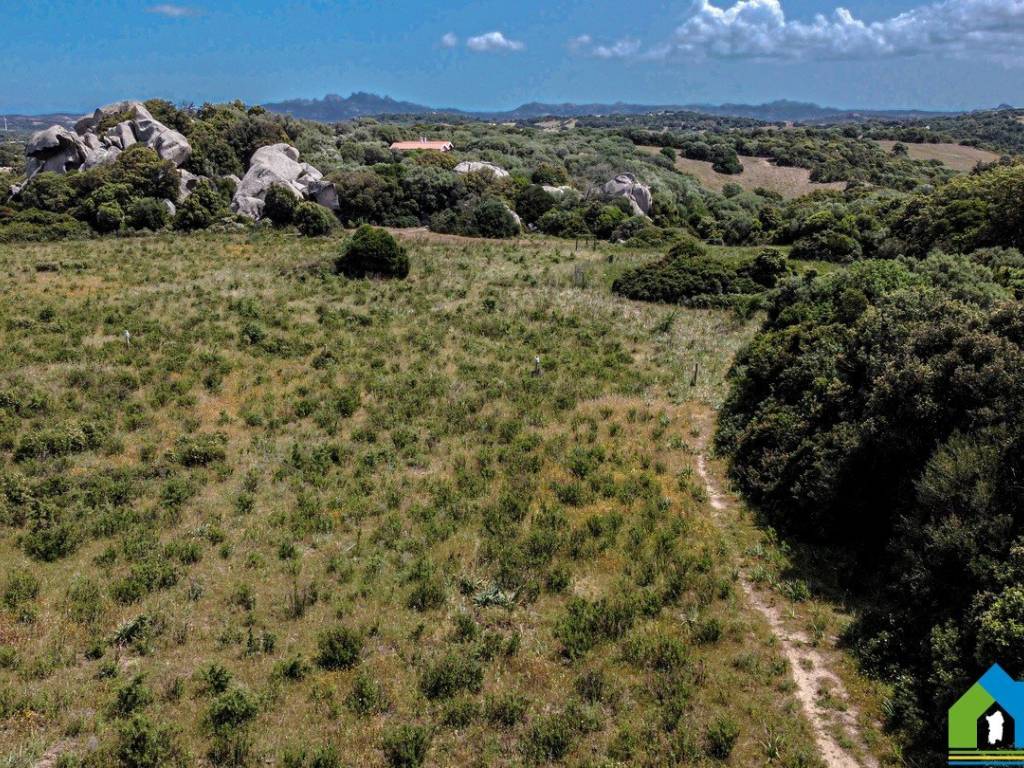 Rustico / casale a Luogosanto in Località Chessa, 4 - Foto 2