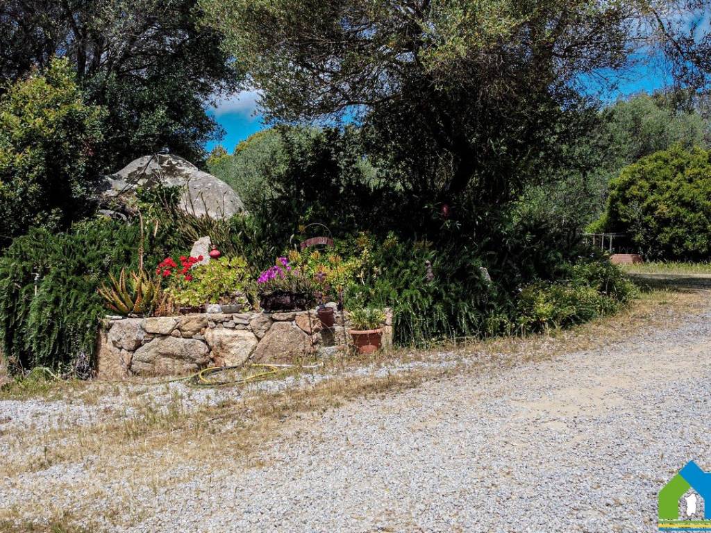 Rustico / casale a Luogosanto in Località Chessa, 4 - Foto 5