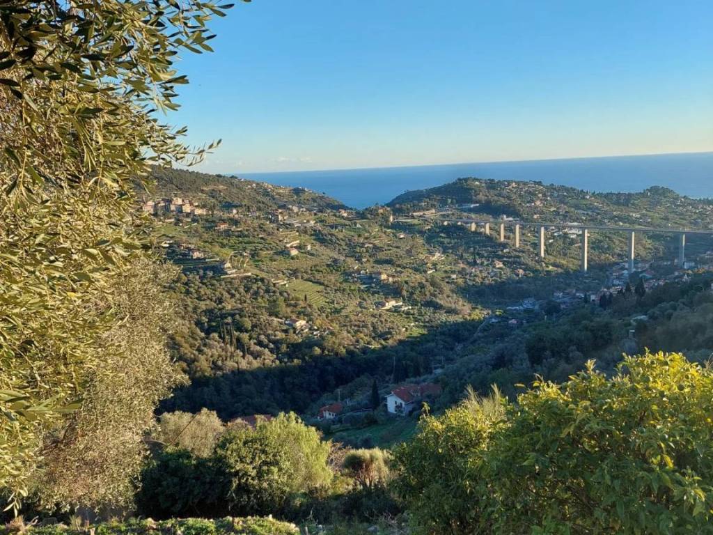 Terreno a Bordighera - Foto 4