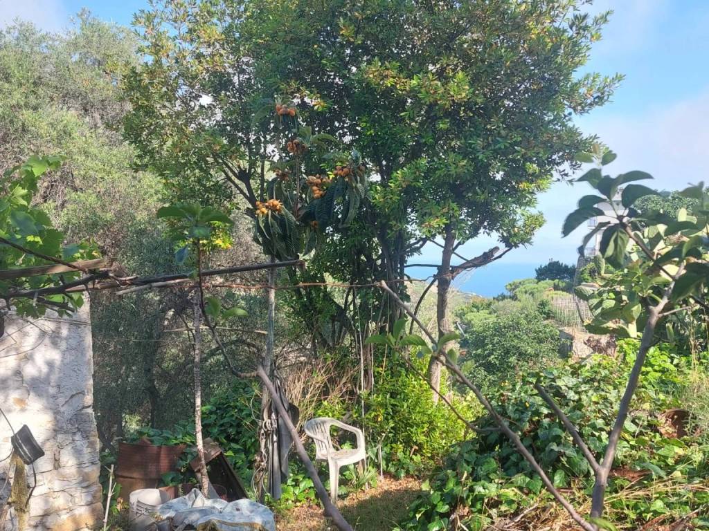 Rustico / casale a Bordighera - Foto 2