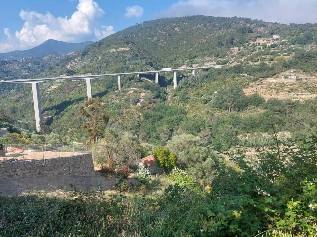 Rustico / casale a Bordighera - Foto 4