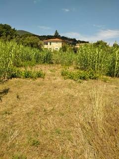 Rustico / casale a Monte argentario in Via dei Molini - Foto 4