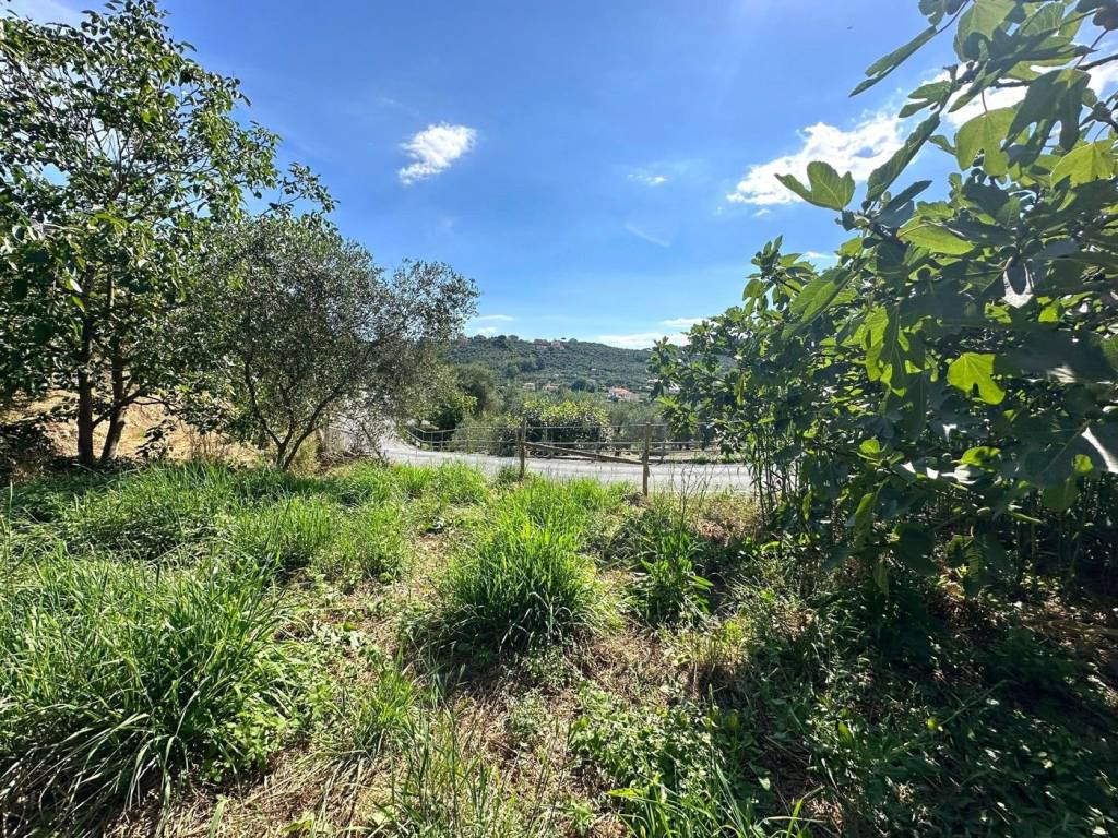 Terreno a Imperia in Frazione Caramagnetta, snc - Foto 2