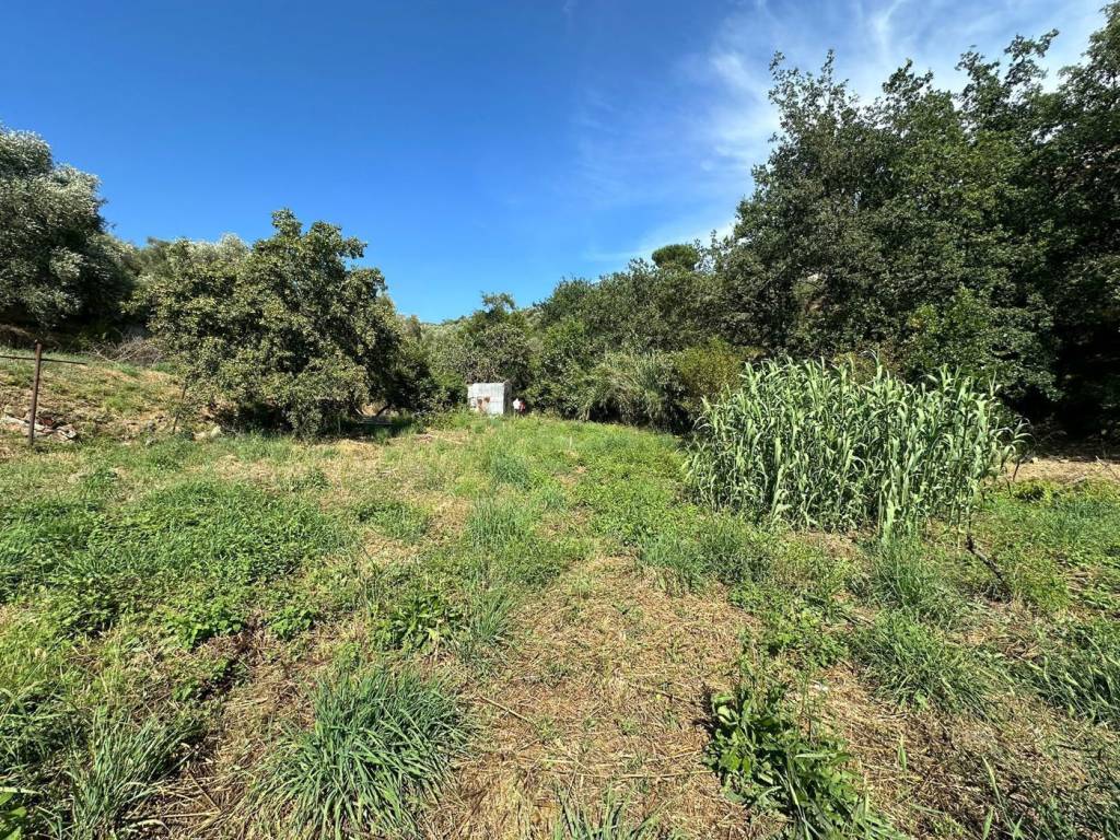 Terreno a Imperia in Frazione Caramagnetta, snc - Foto 3
