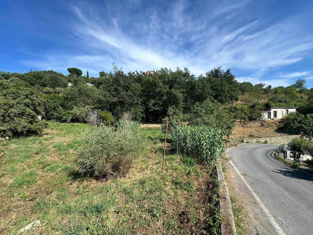 Terreno a Imperia in Frazione Caramagnetta, snc - Foto 4