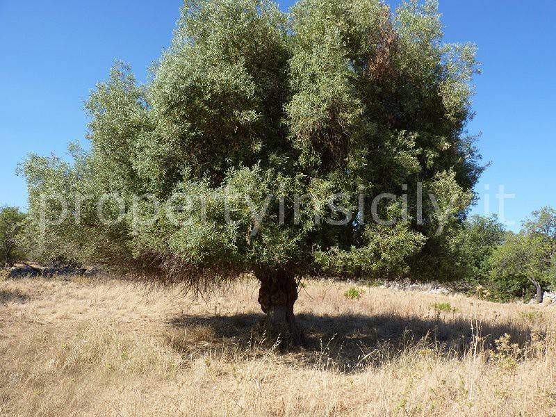 Terreno a Noto in SP36 - Foto 5