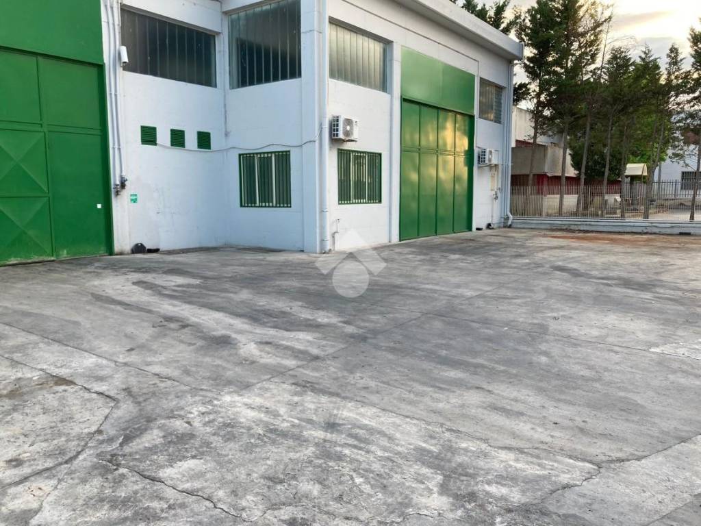Immobile a Cerignola - Foto 4
