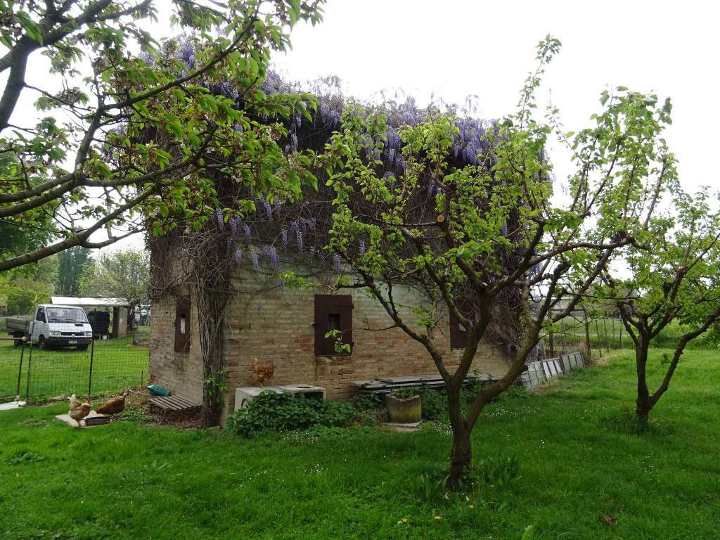 Rustico / casale a Spilamberto - Foto 4