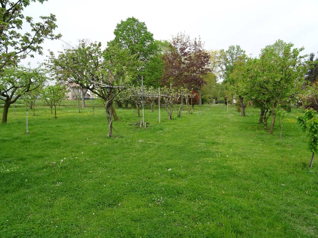 Rustico / casale a Spilamberto - Foto 5