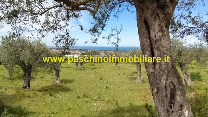 Terreno a Sorso in Via Castelsardo, 24 - Foto 2