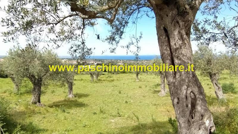 Terreno a Sorso in Via Castelsardo, 24 - Foto 3