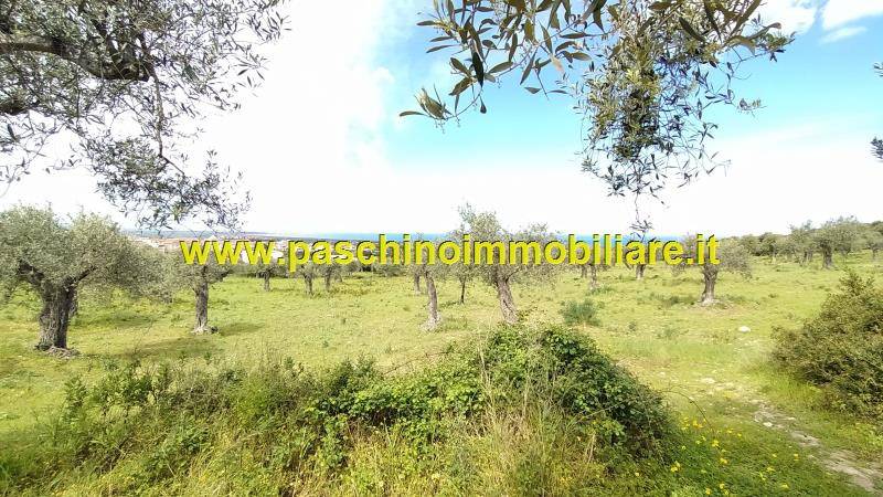 Terreno a Sorso in Via Castelsardo, 24 - Foto 4