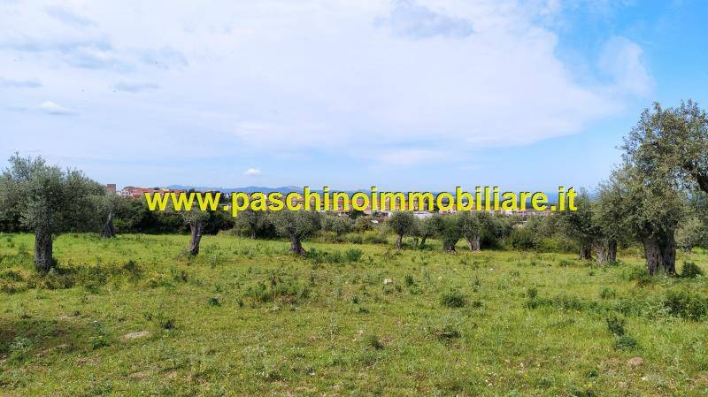 Terreno a Sorso in Via Castelsardo, 24 - Foto 5