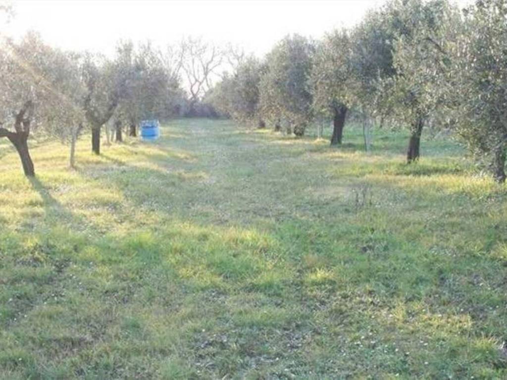 Immobile a Aprilia in Via Selciatella, 14 - Foto 2