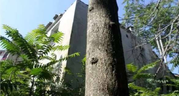Casa indipendente a San marcello in Via Mazzini - Foto 3