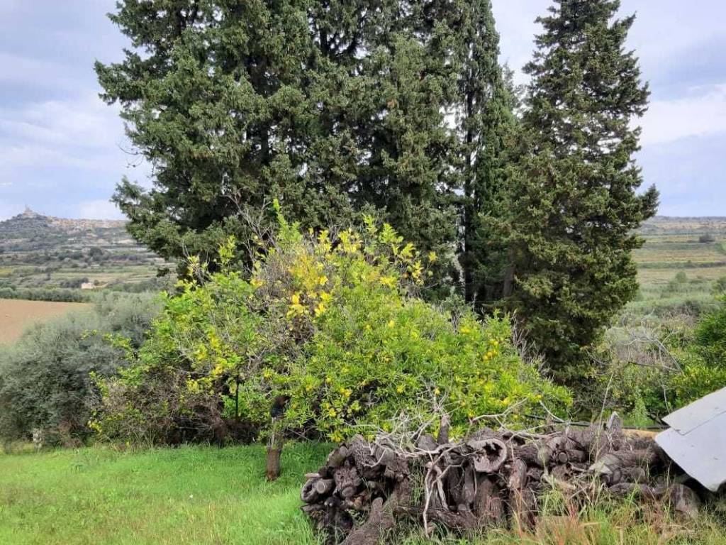 Terreno a Siracusa - Foto 4