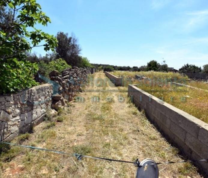Terreno a Castrignano del capo - Foto 2