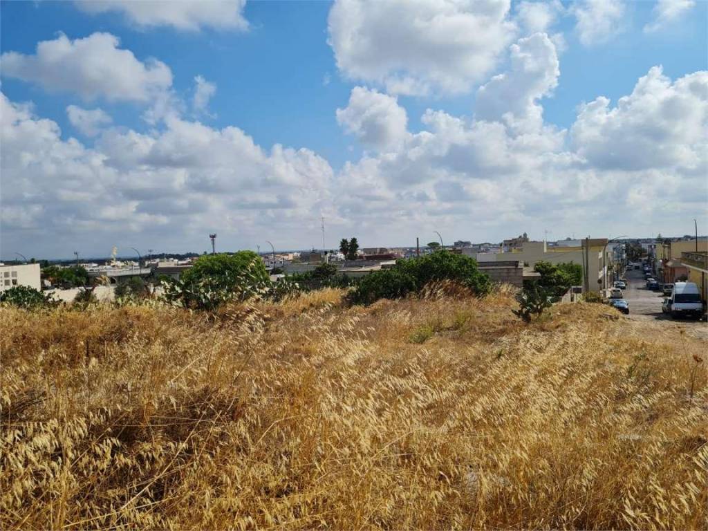 Terreno a Collepasso - Foto 2