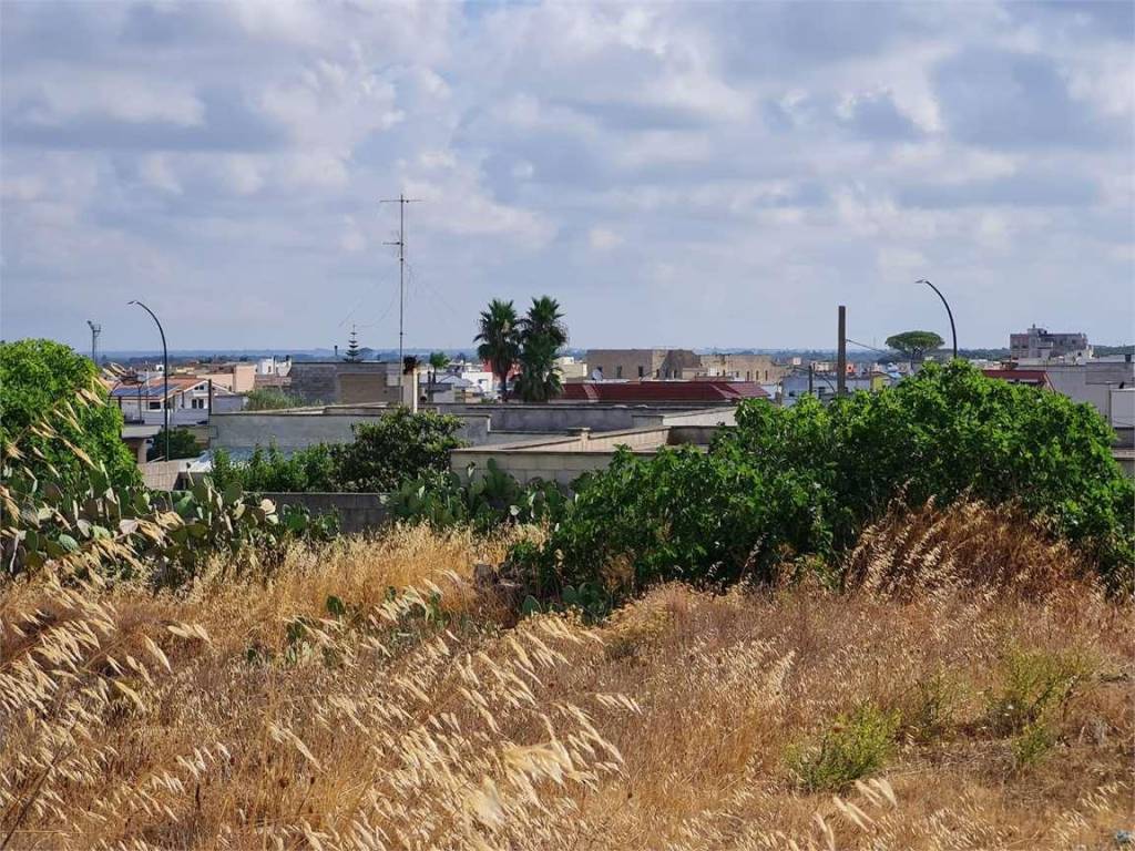 Terreno a Collepasso - Foto 3