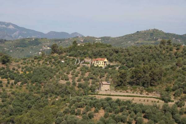 Terreno a Dolceacqua in Strada Provinciale 62 - Foto 2