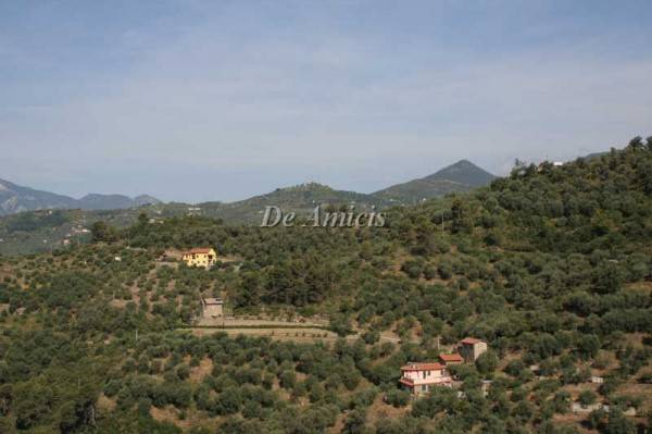 Terreno a Dolceacqua in Strada Provinciale 62 - Foto 4