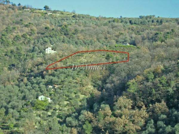Terreno a Dolceacqua in Strada Provinciale 62 - Foto 5
