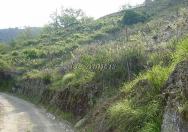 Terreno a Soldano in Via San Martino, 17 - Foto 2