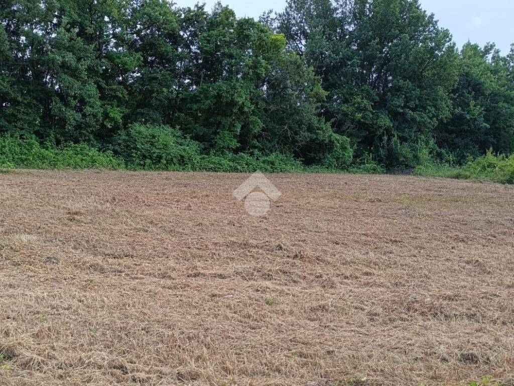 Terreno a Castellarano in Via Telarolo, 11 - Foto 4