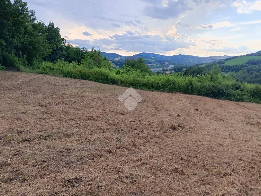 Terreno a Castellarano in Via Telarolo, 11 - Foto 5