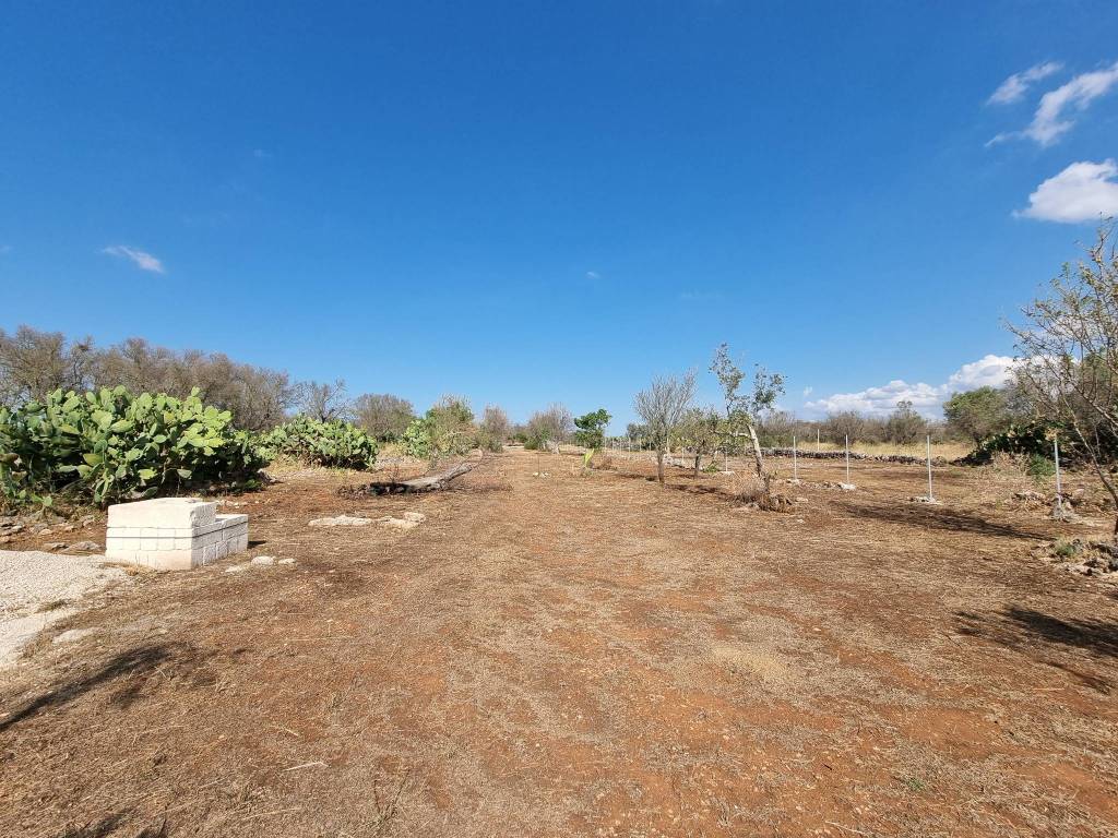 Terreno a Galatone in Contrada Pennella - Foto 2