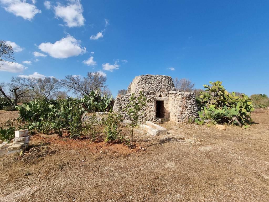 Terreno a Galatone in Contrada Pennella - Foto 3