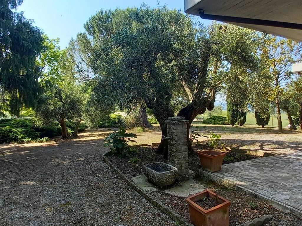 Villa a Castiglione del lago in Via Nazionale - Foto 5