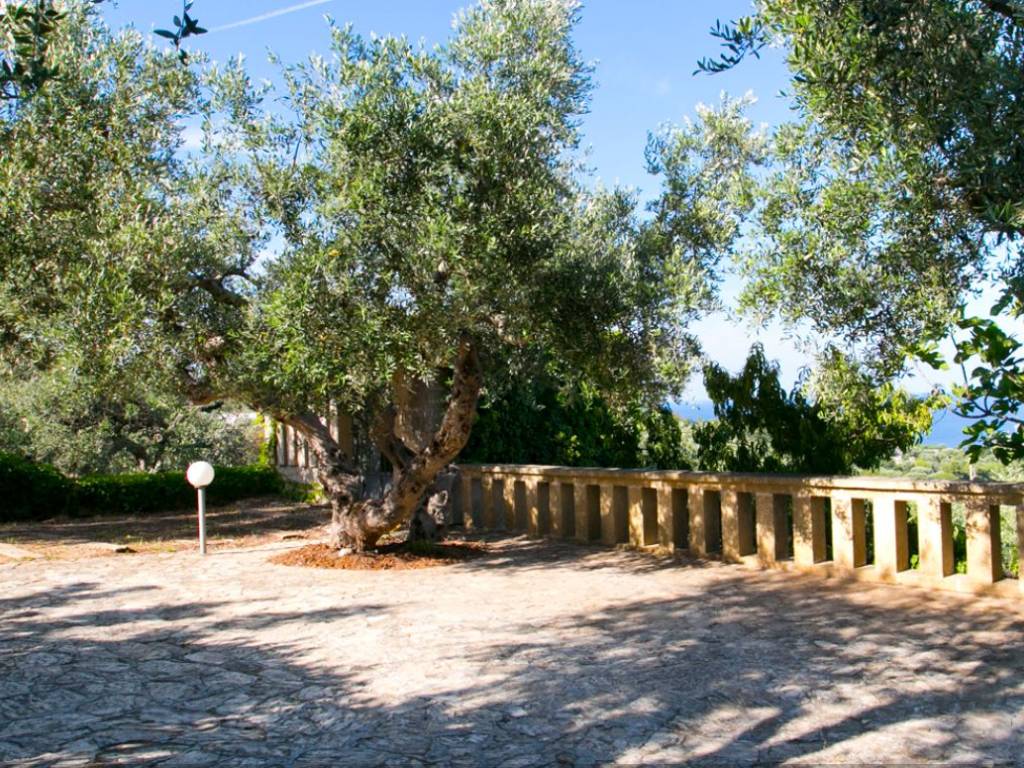 Villa a Gagliano del capo in SP358 - Foto 5