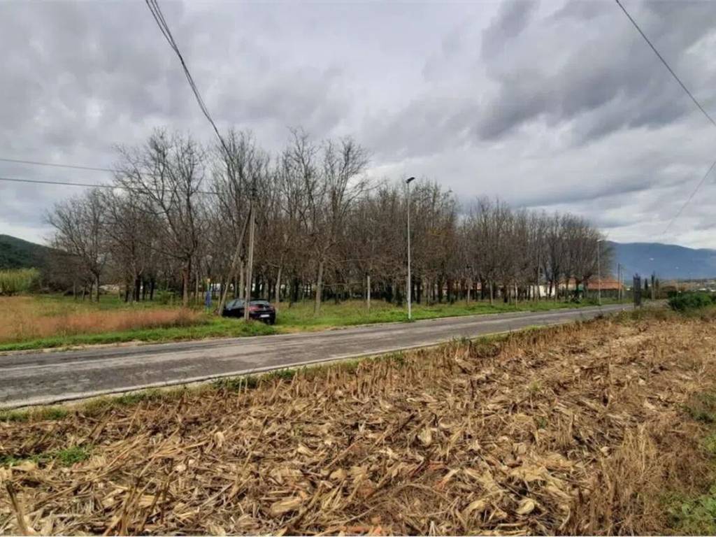 Terreno a Castelliri - Foto 2