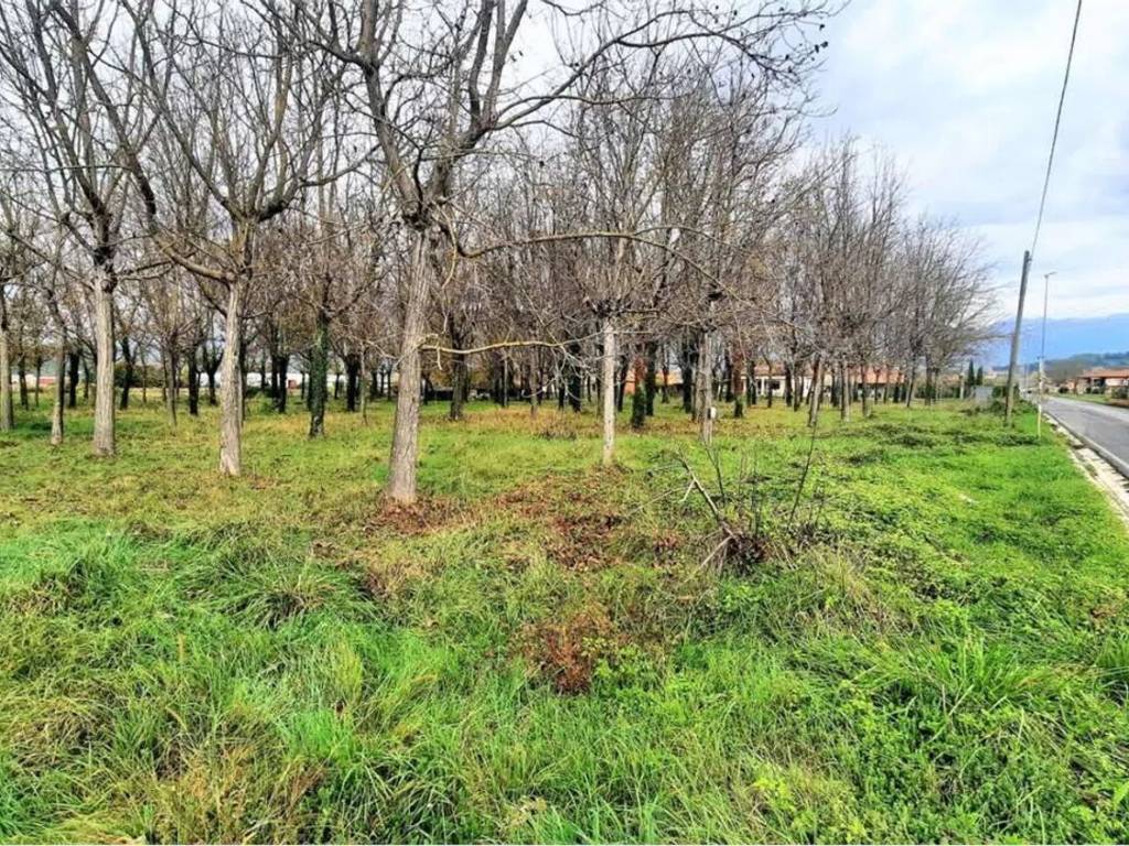 Terreno a Castelliri - Foto 3