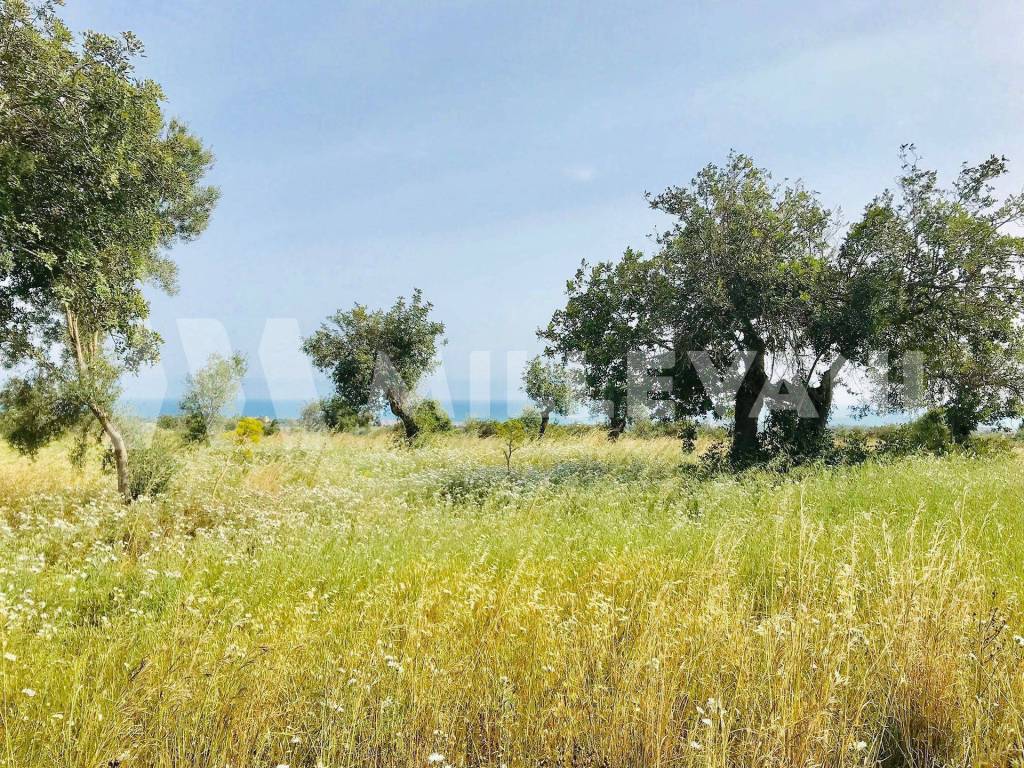 Terreno a Modica in Contrada Bellamagna s.n.c - Foto 4