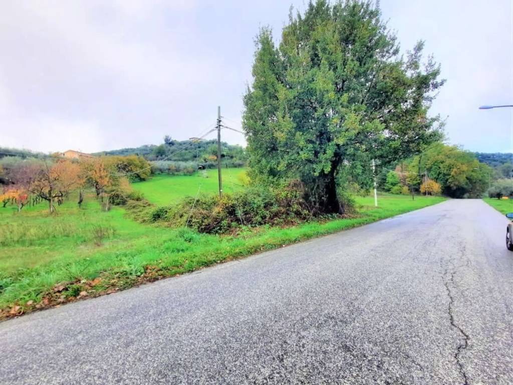 Terreno a Monte san giovanni campano - Foto 3