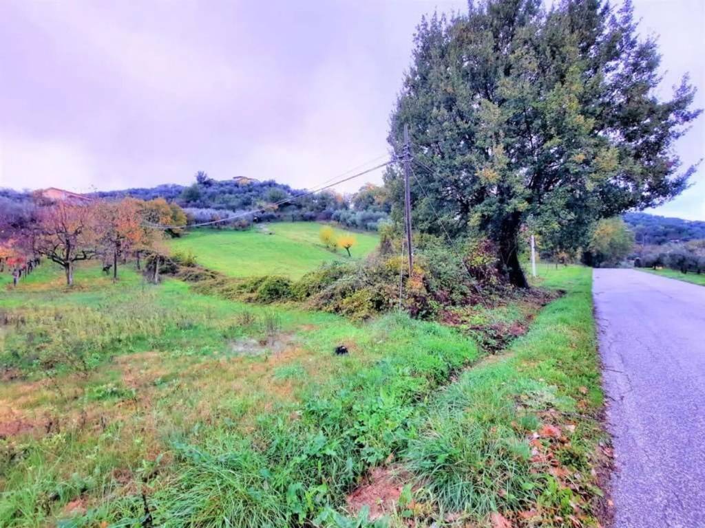 Terreno a Monte san giovanni campano - Foto 4