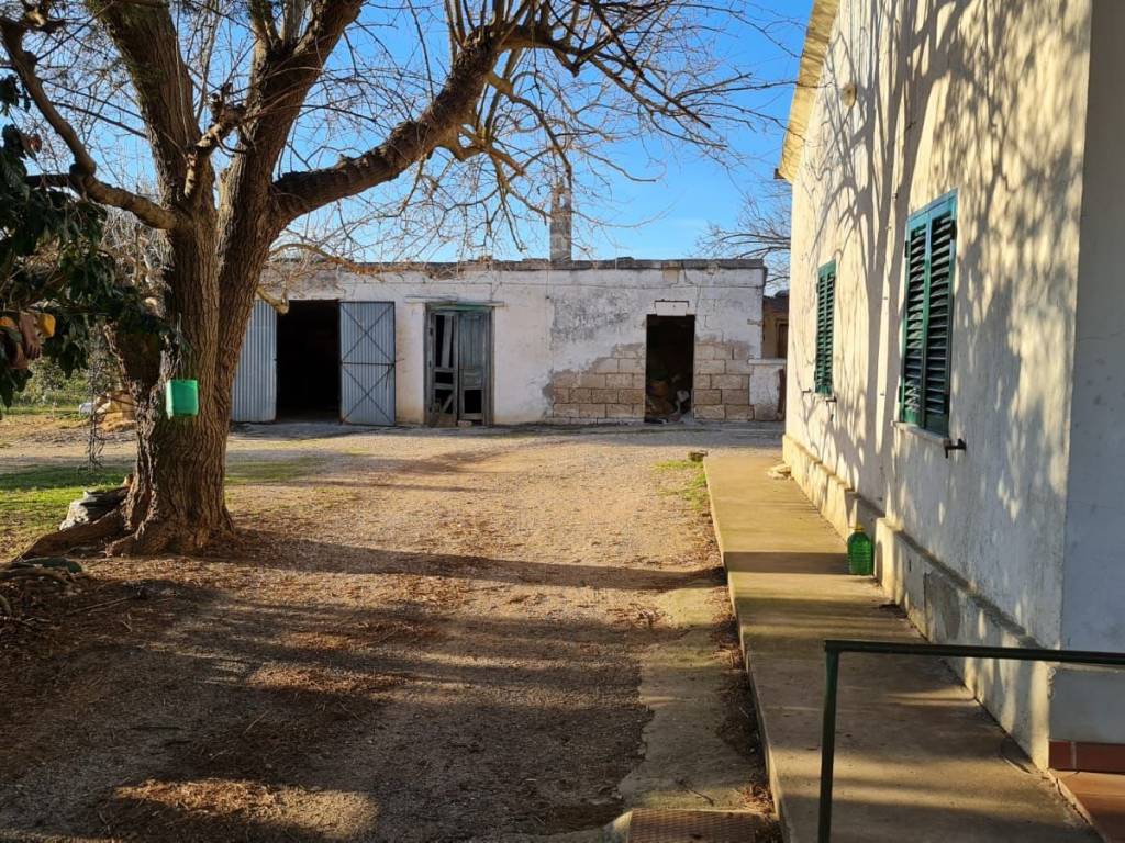 Terreno a Bernalda in Contrada Spineto - Foto 2