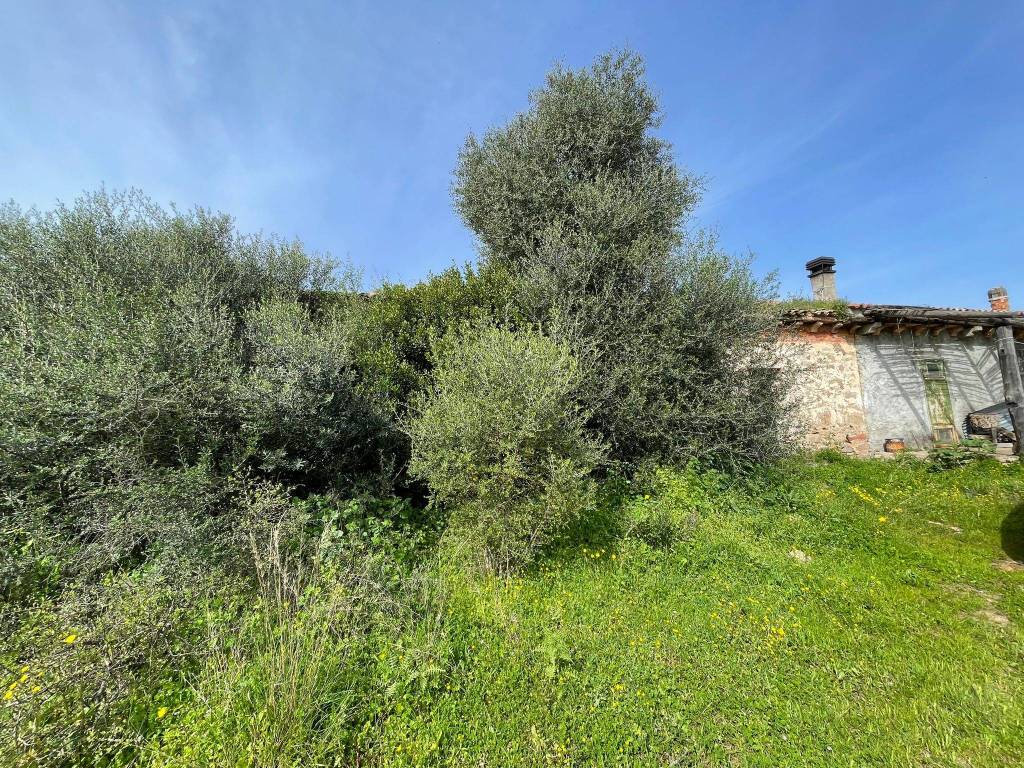 Terreno a Luogosanto in Strada Provinciale per Luogosanto - Foto 2