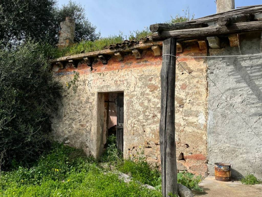 Terreno a Luogosanto in Strada Provinciale per Luogosanto - Foto 4